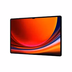 Samsung Galaxy Tab S9 Ultra 5G 256GB - Graphite
