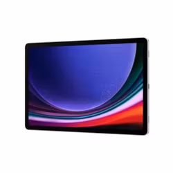 Samsung Galaxy Tab S9 Ultra 5G 256GB - Beige