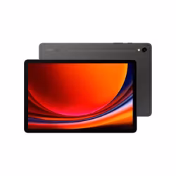 Samsung Galaxy Tab S9 WiFi 256GB - Graphite
