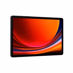 Samsung Galaxy Tab S9 WiFi 256GB - Graphite