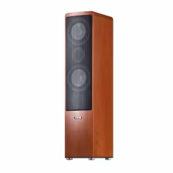Canton Ergo 670 DC