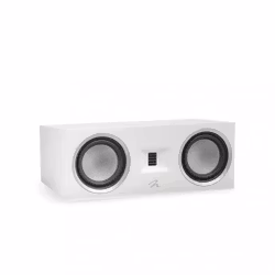 MARTIN LOGAN MOTION C10
