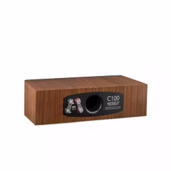 MARTIN LOGAN MOTION XT C100