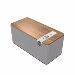 KLIPSCH THE ONE PLUS