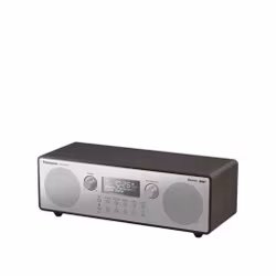 Panasonic RF-D100BTEGT