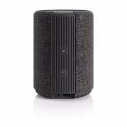 Audio Pro G10 Multiroom Mörkgrå