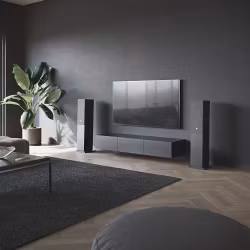 Audio Pro A48 Multiroom Svart