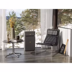 Audio Pro Drumfire II Multiroom Grå
