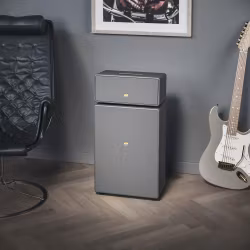 Audio Pro Drumfire II Multiroom Grå