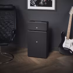 Audio Pro Drumfire II Multiroom Svart
