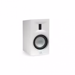 Martin Logan XT B100
