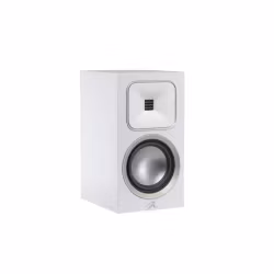 Martin Logan Foundation B1