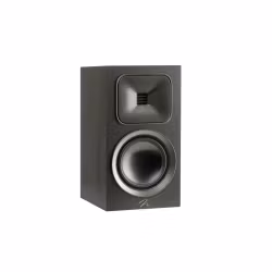 Martin Logan Foundation B1