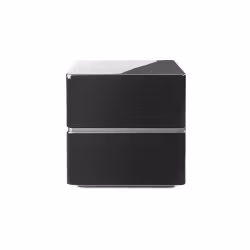 Martin Logan Dynamo 10
