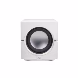 Martin Logan Dynamo 10