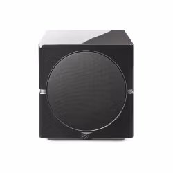 Martin Logan Dynamo 12 Svart