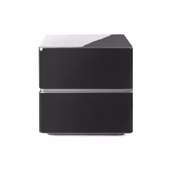 Martin Logan Dynamo 12 Svart