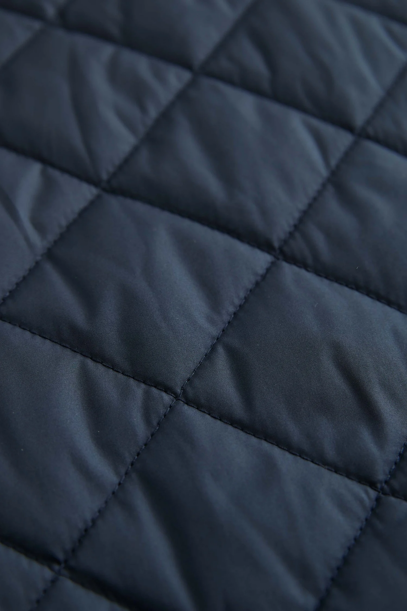 MORRIS STOCKHOLM - Teddy Quilted Jacket