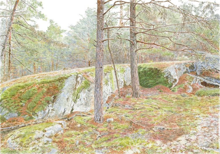 Bergaskogen 1