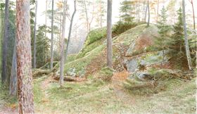 Bergaskogen 2