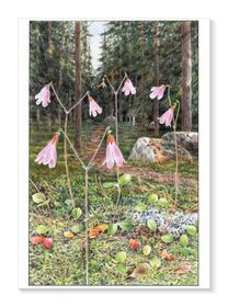 Linnea i skogen
