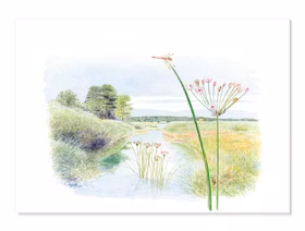 Blomvass, Uppland