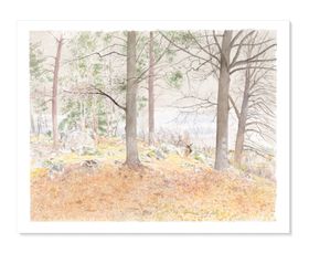 Ekdungen, Upplands Väsby