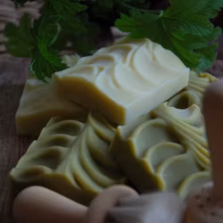 Skogsglänta SPECIAL EDITION