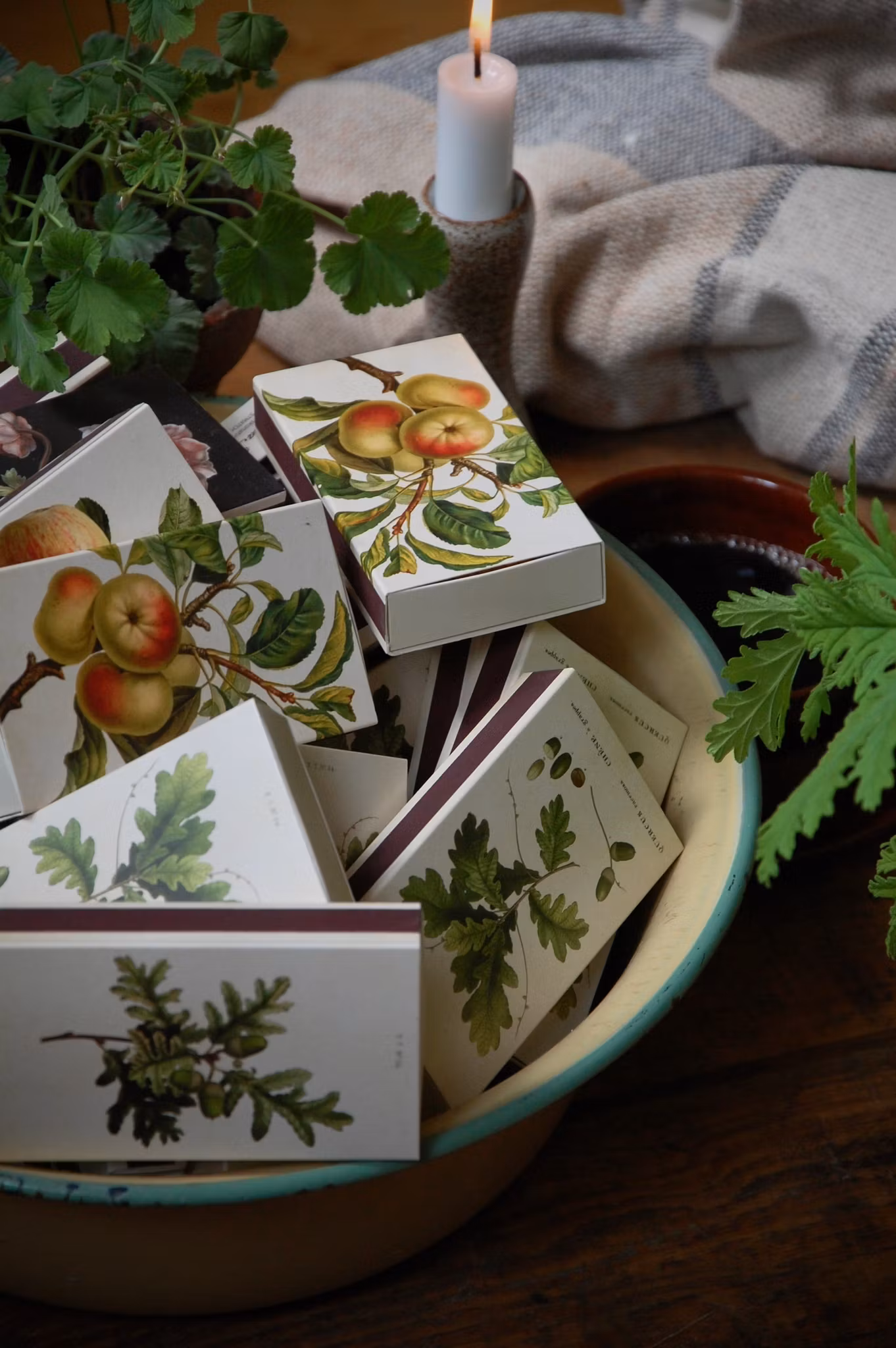 Tändsticksask julstjärna/järnek