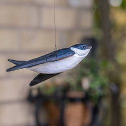 Flygande Hussvala