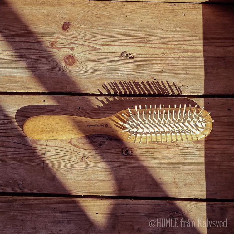 Hairbrush in oiled beech with wooden sticks