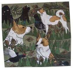 Tub & multiscarf Norrbottenspets