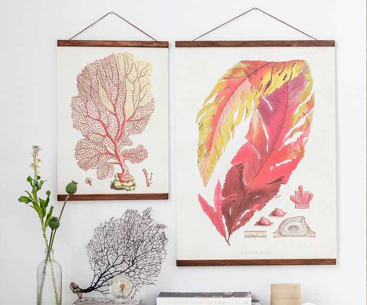 Posterlist med läderrem 70 cm/ Valnötsfärg