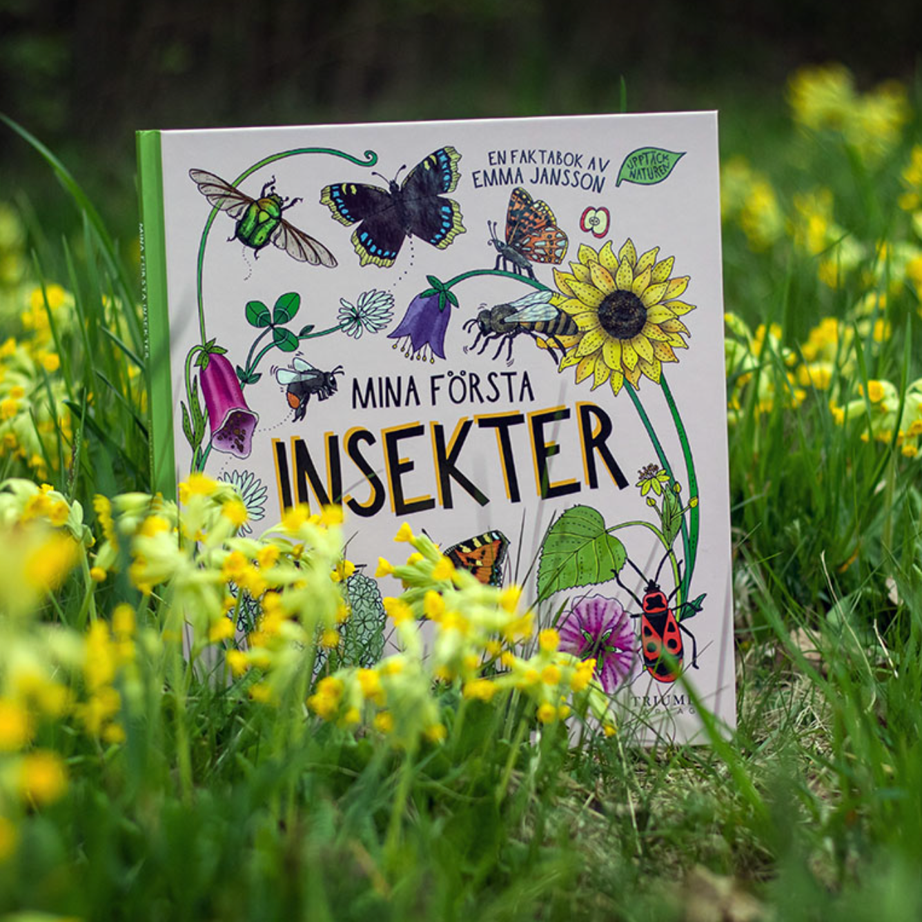 Bok mina första insekter
