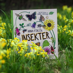 Bok mina första insekter