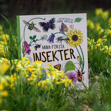 Bok mina första insekter