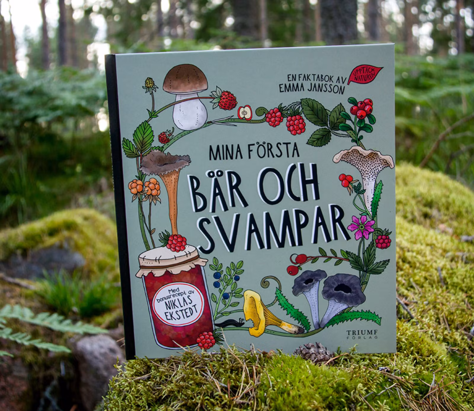 Bok: Mina första bär och svampar