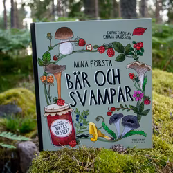 Bok: Mina första bär och svampar