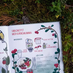 Bok: Mina första bär och svampar