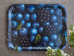 Bricka blåbär mellan