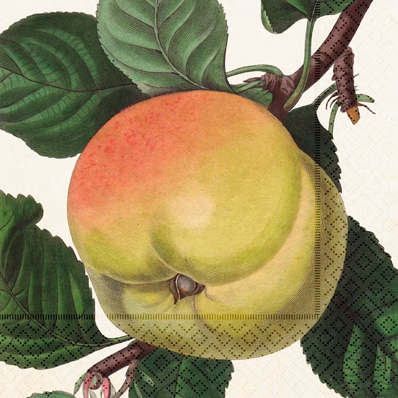 Servett Äpple