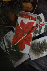 Tändsticksask julstjärna/järnek