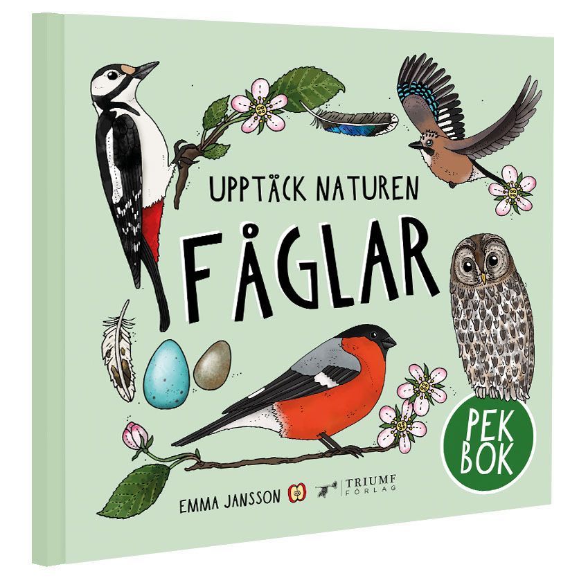 Pekbok - Fåglar
