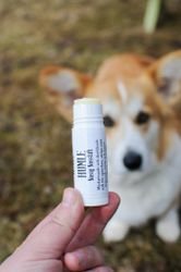 HUMLE Nosig nosstift - Nossalva för torr och sårig nos hos hund.