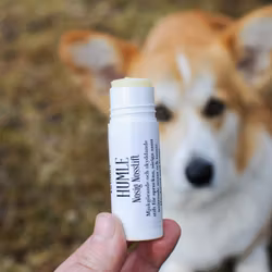 HUMLE Nosig nosstift - Nossalva för torr och sårig nos hos hund.