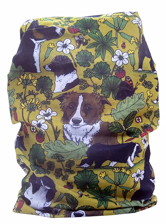 Tub & multiscarf Border Collie