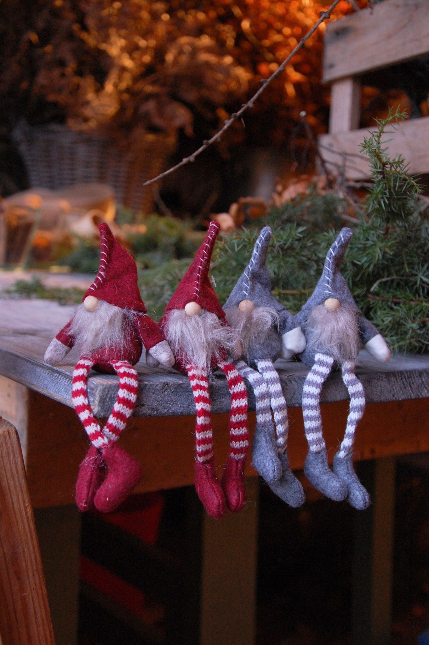Tomte grå