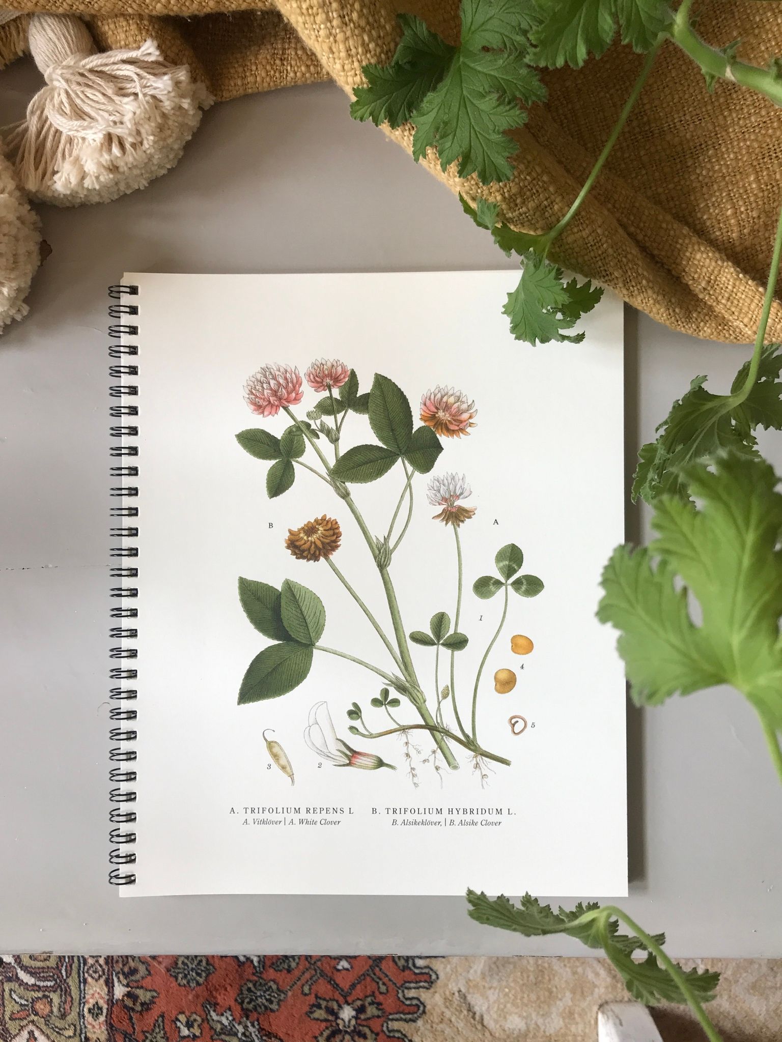Writing book Daisy