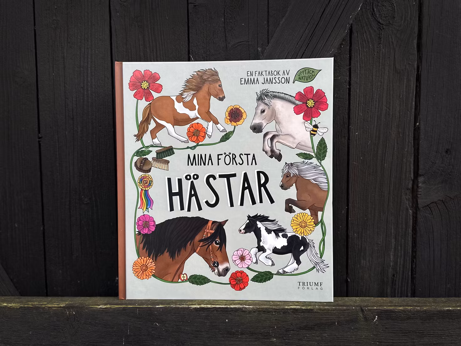 Bok: Mina första hästar