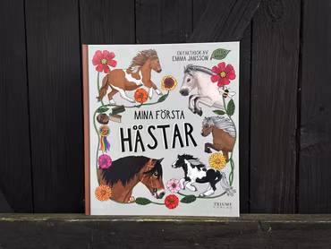Bok: Mina första hästar